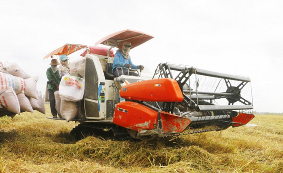 Gạo Việt Nam rộng cửa v&agrave;o thị trường Anh