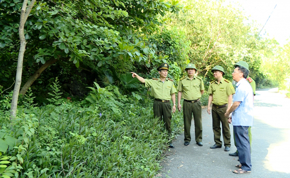 Ninh B&igrave;nh chủ động ph&ograve;ng ch&aacute;y, chữa ch&aacute;y rừng m&ugrave;a nắng n&oacute;ng