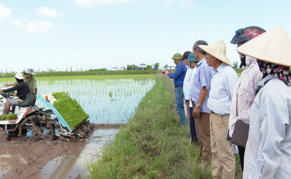 HTX thương mại, dịch vụ Dược liệu Kh&aacute;nh Thủy cơ giới h&oacute;a trong sản xuất n&ocirc;ng nghiệp