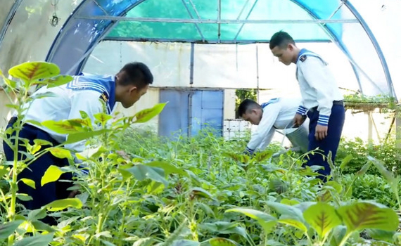 Ph&aacute;t triển c&acirc;y xanh ở Trường Sa