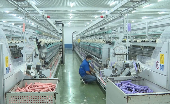 Hiệu quả c&ocirc;ng t&aacute;c khuyến c&ocirc;ng tr&ecirc;n địa b&agrave;n tỉnh Ninh B&igrave;nh