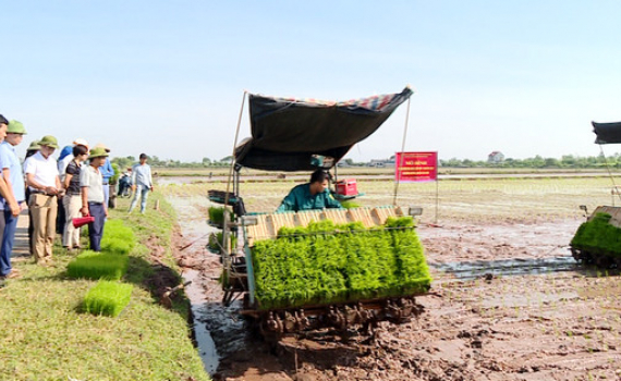 Tr&igrave;nh diễn mạ khay, cấy m&aacute;y tại x&atilde; Đồng Hướng