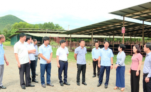  Đo&agrave;n gi&aacute;m s&aacute;t chuy&ecirc;n đề của Quốc hội Khảo s&aacute;t t&igrave;nh h&igrave;nh quản l&yacute;, sử dụng đất một số Dự &aacute;n