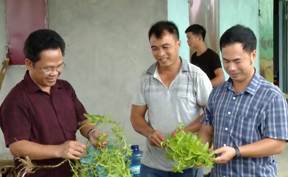 Li&ecirc;n minh Hợp t&aacute;c x&atilde; tỉnh khảo s&aacute;t x&acirc;y dựng chuỗi gi&aacute; trị tại huyện Nho Quan.