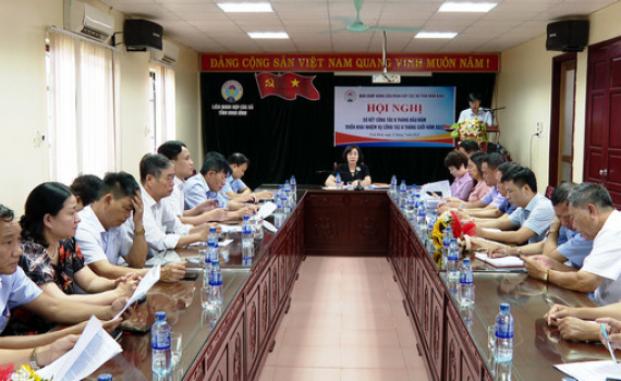 Li&ecirc;n minh Hợp t&aacute;c x&atilde; tỉnh triển khai nhiệm vụ 6 th&aacute;ng cuối năm
