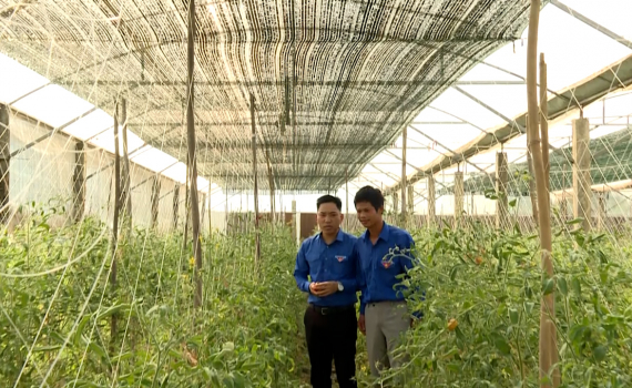 Tiếp sức cho thanh ni&ecirc;n Ninh B&igrave;nh lập nghiệp