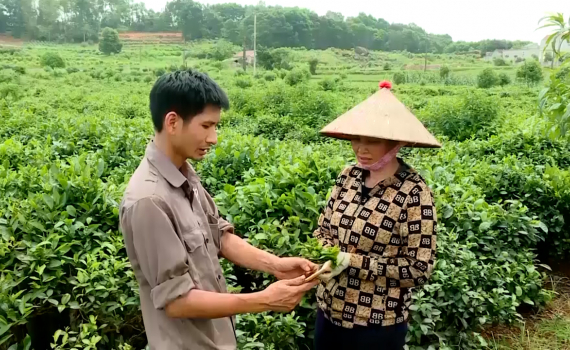 Hiệu quả từ ứng dụng truy xuất nguồn gốc n&ocirc;ng sản ở Ninh B&igrave;nh