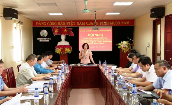 Li&ecirc;n minh HTX tỉnh triển khai nhiệm vụ 6 th&aacute;ng cuối năm 2023