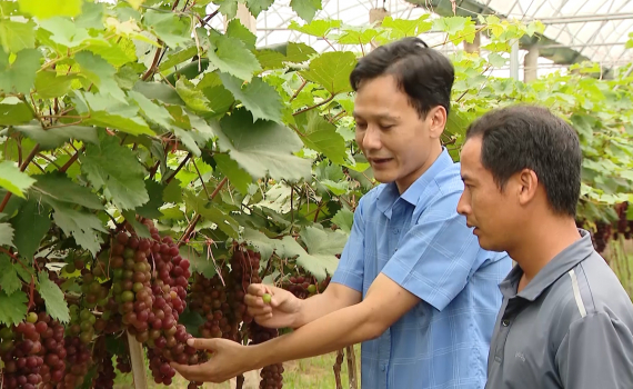 Hoa Lư ph&aacute;t triển đa dạng c&aacute;c m&ocirc; h&igrave;nh kinh tế