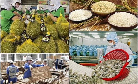 N&ocirc;ng nghiệp tiếp tục l&agrave; điểm s&aacute;ng của nền kinh tế