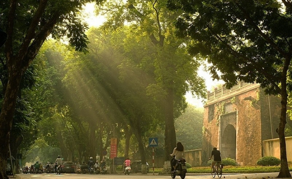Thời tiết h&ocirc;m nay (11-7): H&agrave; Nội nắng n&oacute;ng, gi&oacute; đ&ocirc;ng nam cấp 3