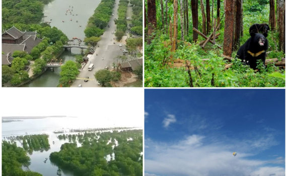 Quy hoạch tỉnh Ninh B&igrave;nh: Phương &aacute;n bảo vệ m&ocirc;i trường, bảo tồn thi&ecirc;n nhi&ecirc;n v&agrave; đa dạng sinh học tr&ecirc;n địa b&agrave;n tỉnh