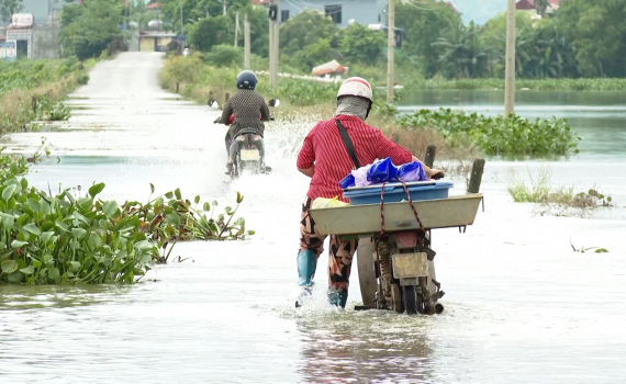 Nho Quan khắc phục ngập &uacute;ng do mưa lớn
