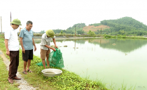 Nho Quan quyết t&acirc;m ho&agrave;n th&agrave;nh mục ti&ecirc;u giảm ngh&egrave;o