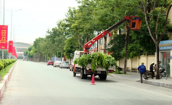 Th&agrave;nh phố Ninh B&igrave;nh cắt tỉa c&acirc;y xanh đảm bảo an to&agrave;n trước m&ugrave;a mưa b&atilde;o