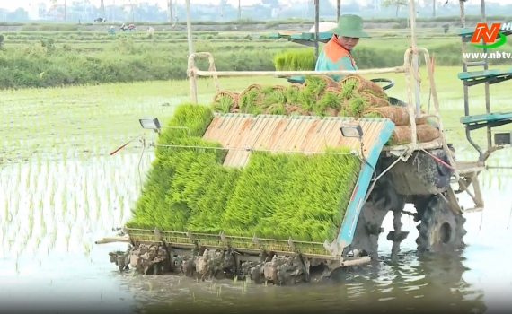 Mở rộng diện t&iacute;ch mạ khay, cấy m&aacute;y ở Ninh B&igrave;nh