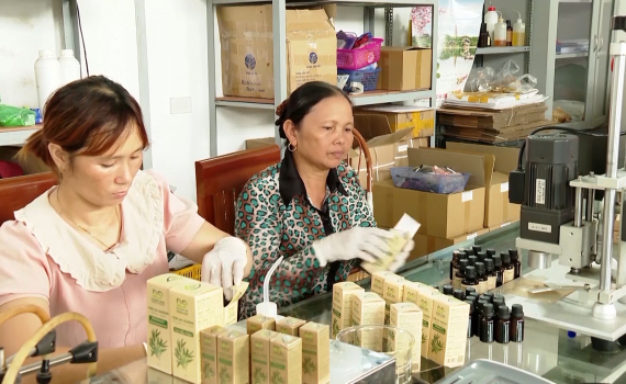 Hiệu quả từ nguồn vốn Quỹ hỗ trợ ph&aacute;t triển hợp t&aacute;c x&atilde;