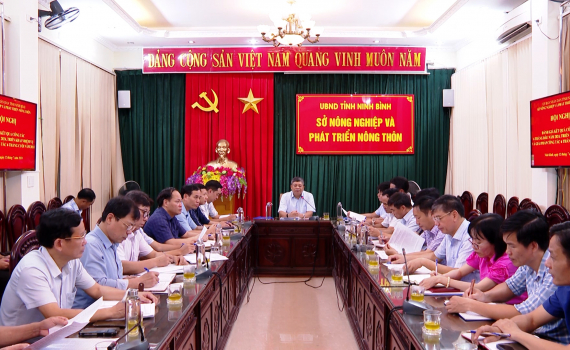 Sở NN&PTNT triển khai nhiệm vụ 6 th&aacute;ng cuối năm