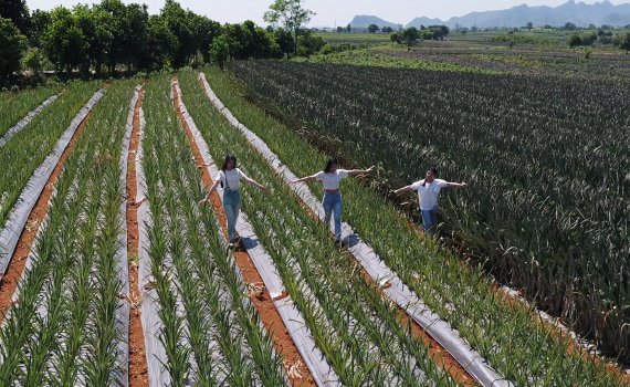 Tam Điệp ph&aacute;t triển du lịch kết hợp n&ocirc;ng nghiệp