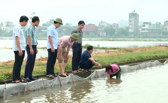Ninh B&igrave;nh khắc phục sản xuất do mưa &uacute;ng