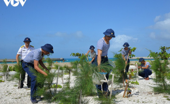 Trường Sa xanh giữa biển khơi
