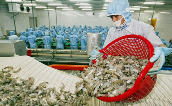 Xuất khẩu t&ocirc;m sang Mỹ dự b&aacute;o sẽ tăng khoảng 20% năm 2020