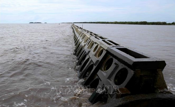 Quy định c&aacute;c khu vực kh&ocirc;ng được lấn biển nhằm đảm bảo m&ocirc;i trường sinh th&aacute;i