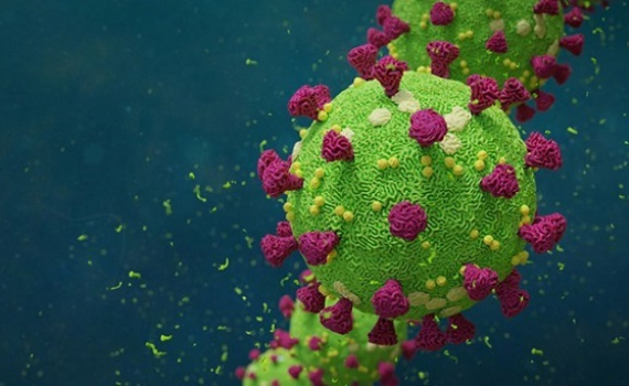 T&igrave;nh b&aacute;o Mỹ ra kết luận về nguồn gốc của virus SARS-CoV-2 