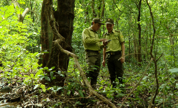 Trải nghiệm du lịch sinh thái tại Vườn Quốc gia Cúc Phương Trải nghiệm du lịch sinh thái tại Vườn Quốc gia Cúc Phương