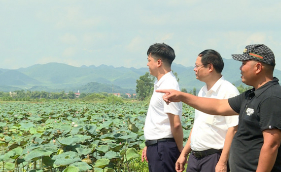 Đồng h&agrave;nh với n&ocirc;ng d&acirc;n Nho Quan trong ph&aacute;t triển sản xuất
