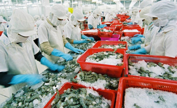 Tăng trưởng chỉ l&agrave; bề ngo&agrave;i?