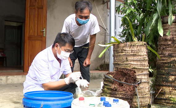 Nho Quan chủ động ph&ograve;ng chống dịch sốt xuất huyết
