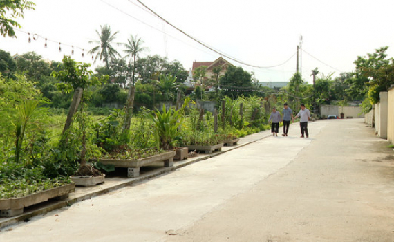 Người d&acirc;n Y&ecirc;n Kh&aacute;nh chung sức x&acirc;y dựng n&ocirc;ng th&ocirc;n mới n&acirc;ng cao, kiểu mẫu