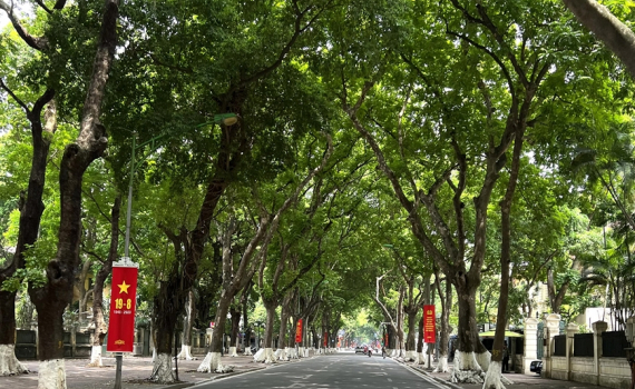 Thời tiết h&ocirc;m nay (17-8): H&agrave; Nội v&agrave; c&aacute;c tỉnh Bắc Bộ ng&agrave;y nắng n&oacute;ng, oi bức, chiều v&agrave; tối c&oacute; mưa d&ocirc;ng