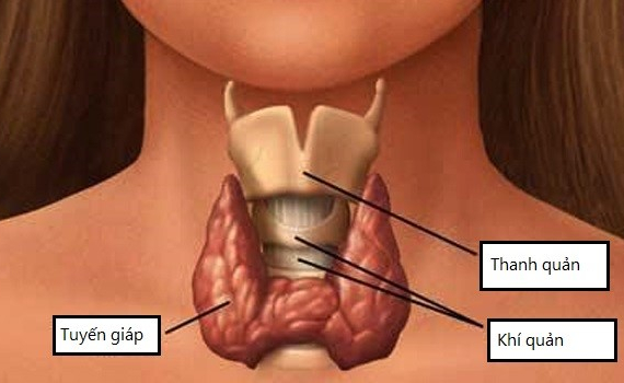 Bệnh cường gi&aacute;p ở trẻ em: Hiếm gặp v&agrave; rất nguy hiểm