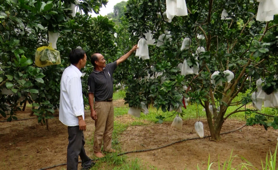 N&ocirc;ng d&acirc;n Gia Viễn thi đua sản xuất, kinh doanh giỏi