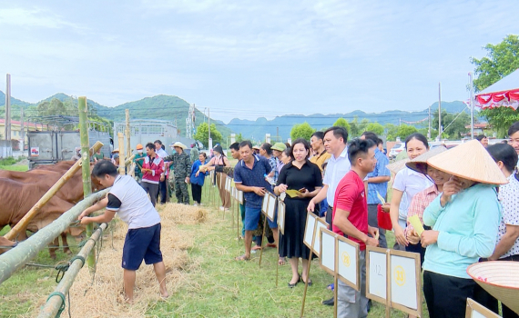 Y&ecirc;n M&ocirc; tổ chức Lễ giao nhận b&ograve; cho hộ ngh&egrave;o
