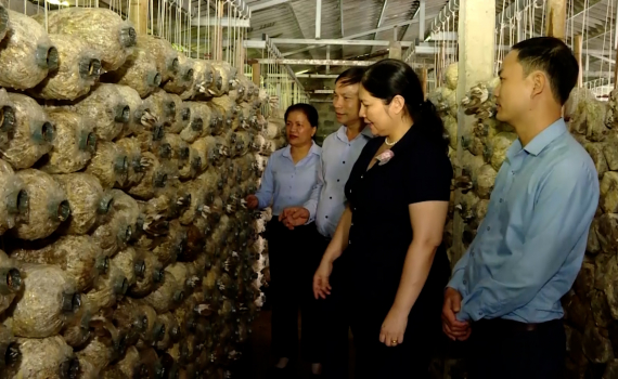 Nho Quan lan tỏa Phong tr&agrave;o &ldquo;N&ocirc;ng d&acirc;n thi đua sản xuất, kinh doanh giỏi, đo&agrave;n kết gi&uacute;p nhau l&agrave;m gi&agrave;u v&agrave; giảm ngh&egrave;o bền vững&rdquo; 