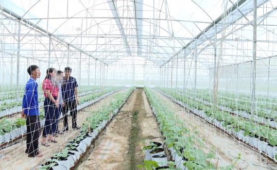 Y&ecirc;n M&ocirc; đầu tư hạ tầng kỹ thuật cho v&ugrave;ng sản xuất rau an to&agrave;n