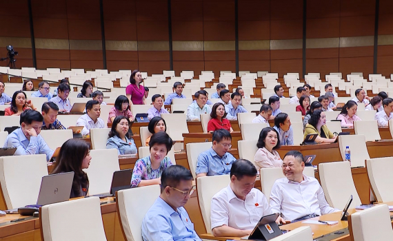 Đại biểu Quốc hội xem x&eacute;t, cho &yacute; kiến đối với một số dự &aacute;n Luật c&ograve;n &yacute; kiến kh&aacute;c nhau