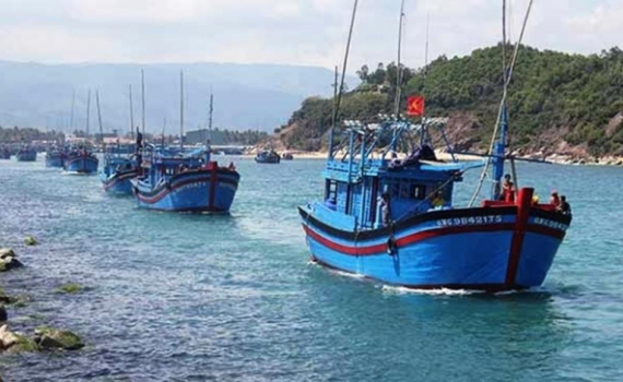Tập trung cao độ gỡ thẻ v&agrave;ng IUU