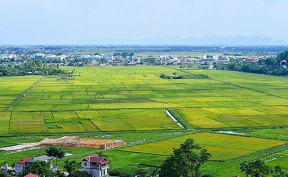 Điều kiện chuyển mục đ&iacute;ch sử dụng đất trồng l&uacute;a