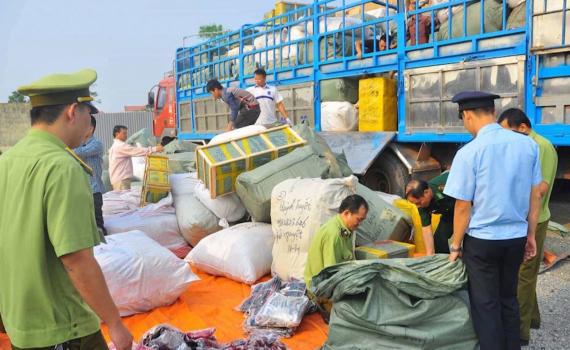 Ninh B&igrave;nh: Xử l&yacute; hơn 600 vụ gian lận thương mại, h&agrave;ng giả