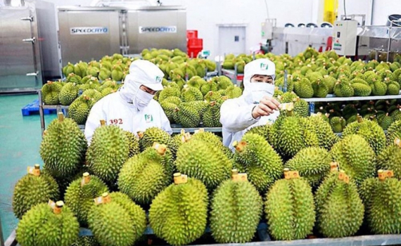 Rau quả Việt Nam c&oacute; thể vươn tới kim ngạch xuất khẩu kỷ lục 7 tỷ USD