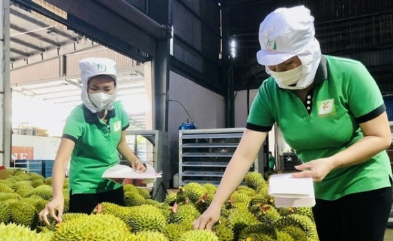 Xuất khẩu n&ocirc;ng sản: Linh hoạt th&iacute;ch ứng với những thay đổi của thị trường