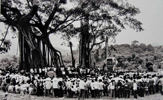 Dưới gốc đa T&acirc;n Tr&agrave;o