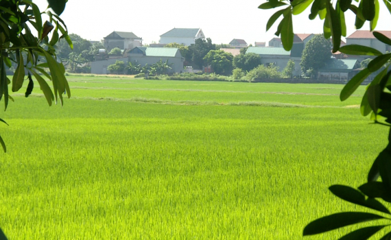 Kh&aacute;nh Dương quan t&acirc;m n&acirc;ng cao ti&ecirc;u ch&iacute; thu nhập