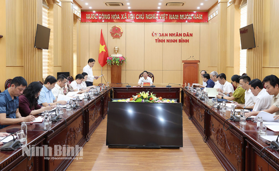 Đồng ch&iacute; Ph&oacute; Chủ tịch Thường trực UBND tỉnh l&agrave;m việc với Sở Văn ho&aacute; v&agrave; Thể thao