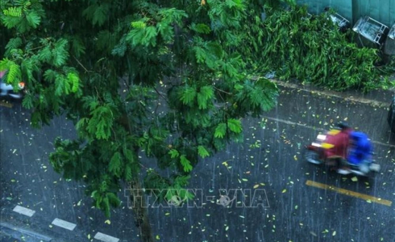 Thời tiết h&ocirc;m nay (4-8): Bắc Bộ nhiều nơi c&oacute; mưa to