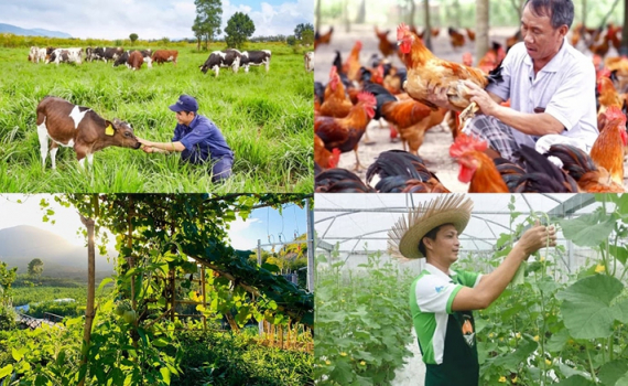 Ch&iacute;nh s&aacute;ch mới c&oacute; hiệu lực từ th&aacute;ng 8/2026